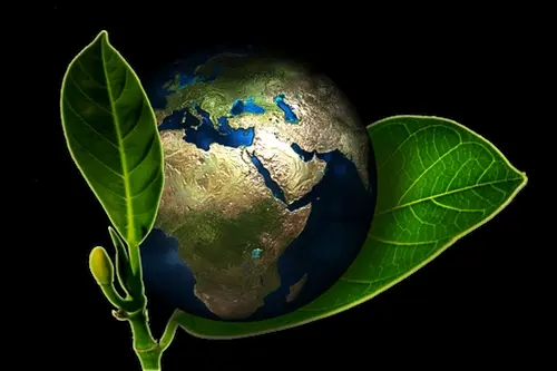 Eco-Friendly-Hand-Wash--in-Vista-California-Eco-Friendly-Hand-Wash-7317900-image